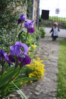 Entrée de maison toute fleurie