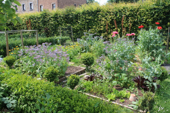 Potager fleuri