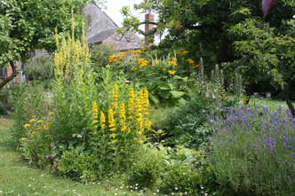 Parterre fleuri