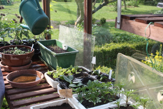 Semis d'avril au jardin