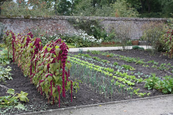 Jardins d'Aywiers à Lasne