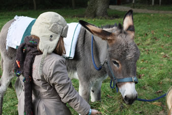 L'Asinerie Lisane aux Jardins d'Aywiers à Lasne