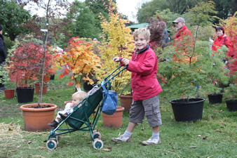 Jardins d'Aywiers à Lasne