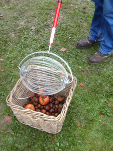 Easy Garden au Festival des Plantes à Beez
