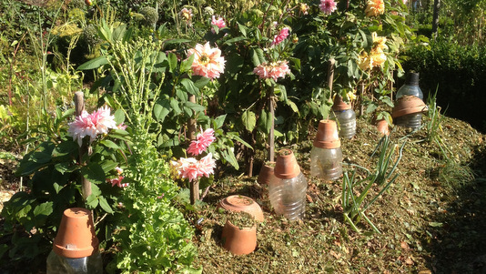 La permaculture renverse les dogmes de l'agronomie traditionnelle Brf-04