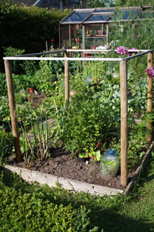 Potager en carrés