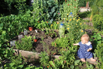 Potager en carrés