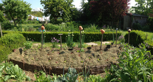 Chicken mulch