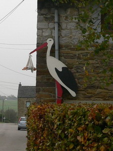 Cigogne