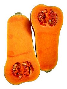 Butternut