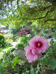 Jardins de Coursiana