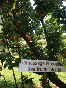 Jardins de Coursiana