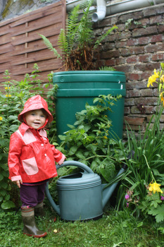 Tonneau récupérateur d'eau de pluie