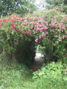 Le jardin de l'Ecole Défis, Sart d'Avril