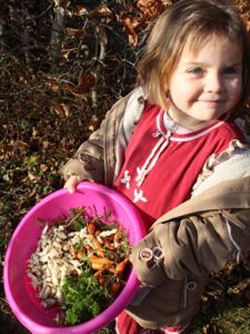 Légumes oubliés de décembre