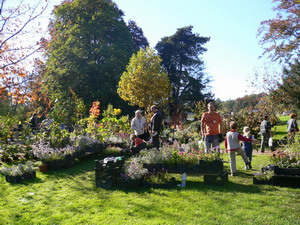 Festival des Plantes à Beez
