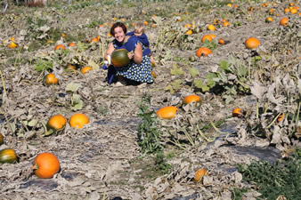 Fête des courges à Ohey