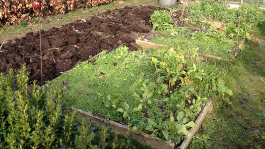 Pourquoi j'arrête le potager en carrés