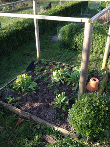 Pourquoi j'arrête le potager en carrés