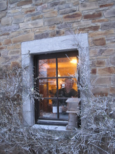 Jardin sous le givre