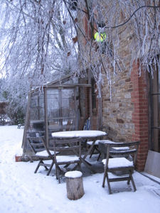 Jardin sous le givre