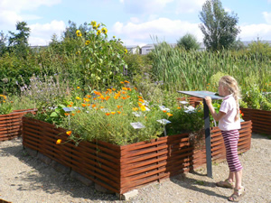 Herba Sana, jardin de plantes médicinales à Elsenborn