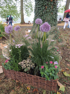 Festival of Rare plants Hex