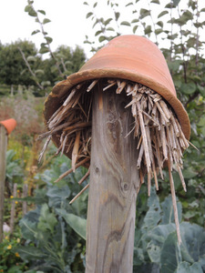 Potager du château de Hex