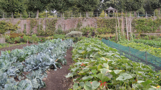 Potager du château de Hex