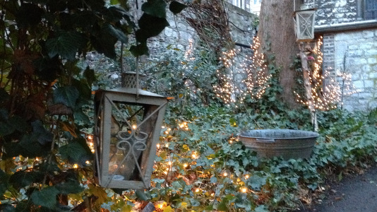 Hivernales au Jardin du curé à Huy
