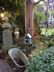 Hivernales au Jardin du curé à Huy