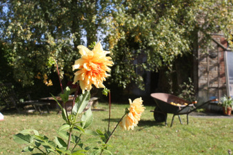 Le jardin juste avant les premières gelées