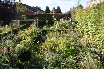 Le jardin juste avant les premières gelées