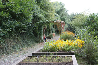 Jardin des plantes tinctoriales à Vedrin