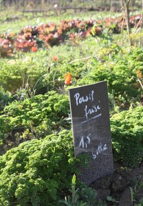 Les Jardins d'Oo à Fernelmont