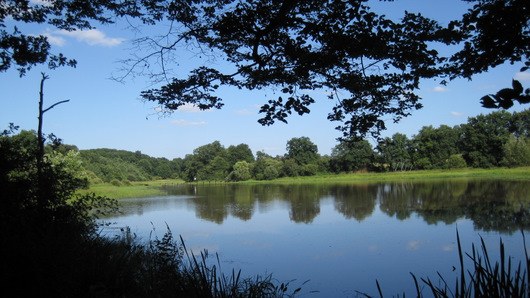 Les Jardins de Drulon