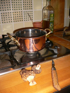 Morilles