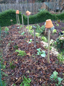 Potager couvert de mulch