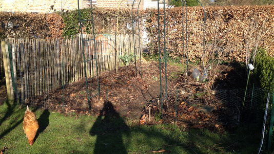 Potager couvert de mulch
