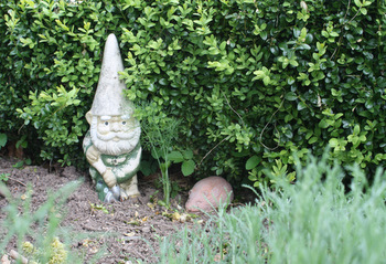 Nain de jardin