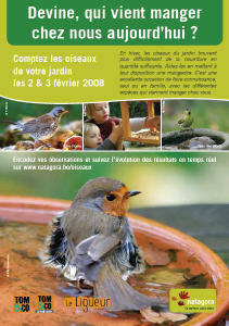 Recensement des oiseaux 2008