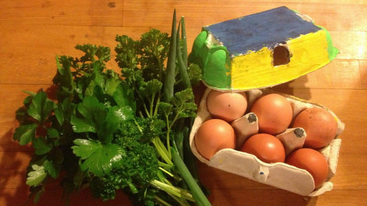 Récolter ses oeufs de poule, le bonheur
