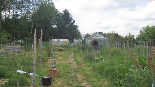 Le Jardin bio de Patricia Gramme à Ottembourg