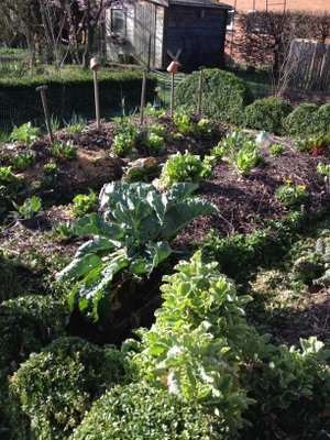 Buttes de permaculture