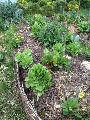 Buttes de permaculture