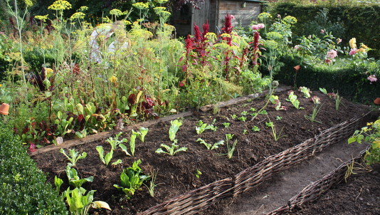 Butte en permaculture