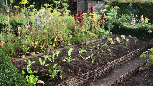 Butte en permaculture