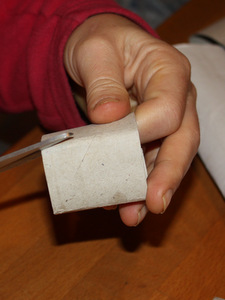 Petit pots en rouleau de papier WC