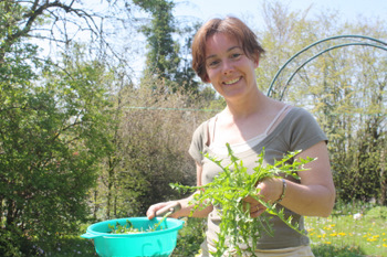 Plantes sauvages comestibles : avril