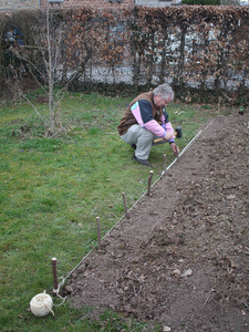 Bordure en noisetier ou plessis